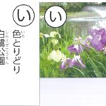 ７月の逸品「堺市東区かるた」