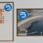 ７月の逸品「アマモ場いきもの図鑑かるた」
